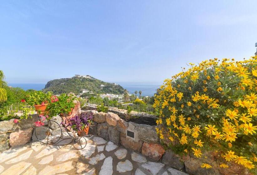 住宿加早餐 Belgodere Di Mezzavia Apartments