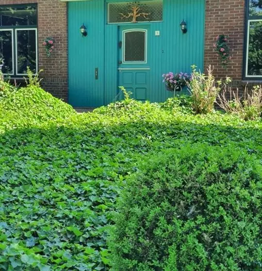 Aamiaismajoitus (B&B) De Vliegende Vlinder