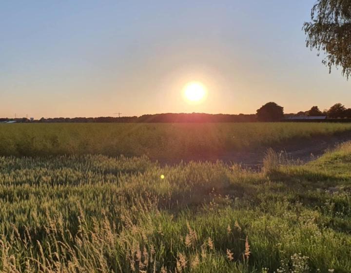 ベッドアンドブレックファースト De Vliegende Vlinder