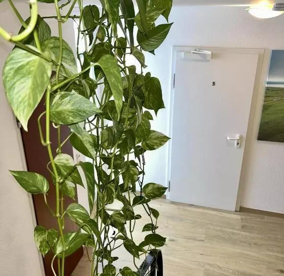 Aamiaismajoitus (B&B) Gästehaus Rheinstetten Forchheim