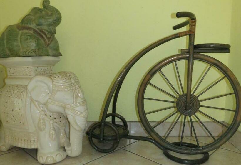 ベッドアンドブレックファースト L Elefantino Bed And Book