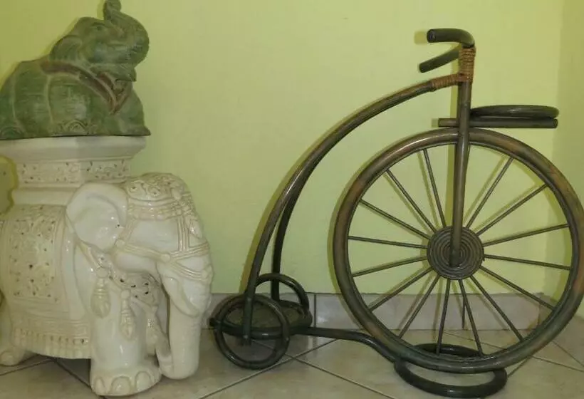 Aamiaismajoitus (B&B) L Elefantino   Bed And Book