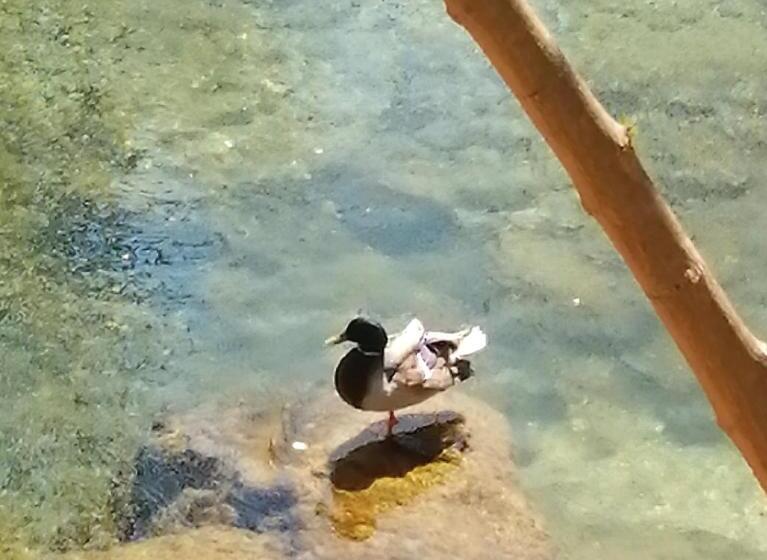 민박 La Maison Hilarion