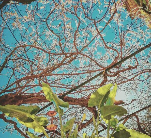 민박 La Maison Hilarion