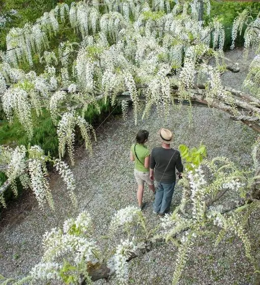 Aamiaismajoitus (B&B) Villa Covela