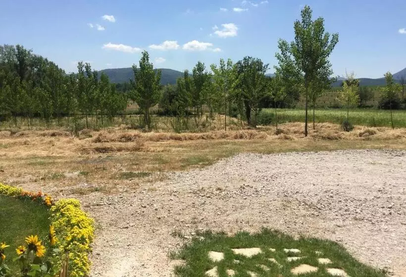 Il Girasole B&b