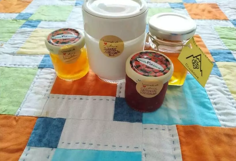 Mountain Holidays B&b