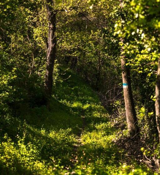 Ostello Podesteria Di Gombola   Arte E Territorio