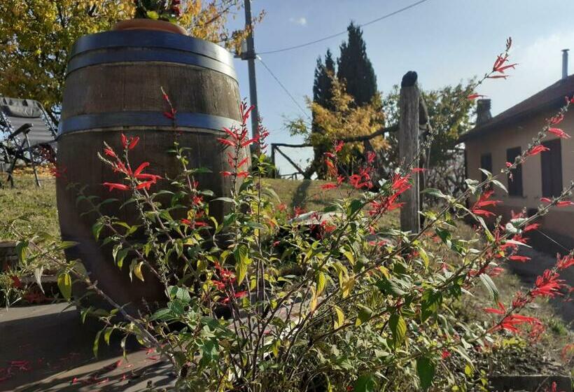 ペンション Cà Tinola