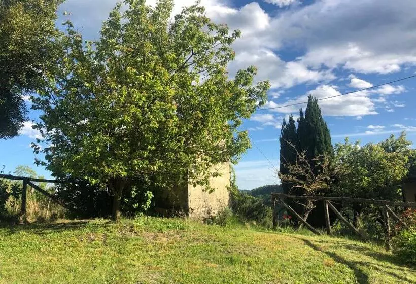 ペンション Cà Tinola