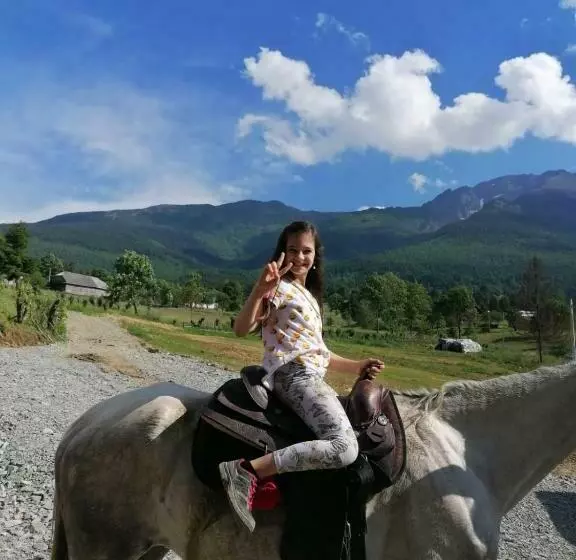 ペンション Cabana Agroturistica Runc