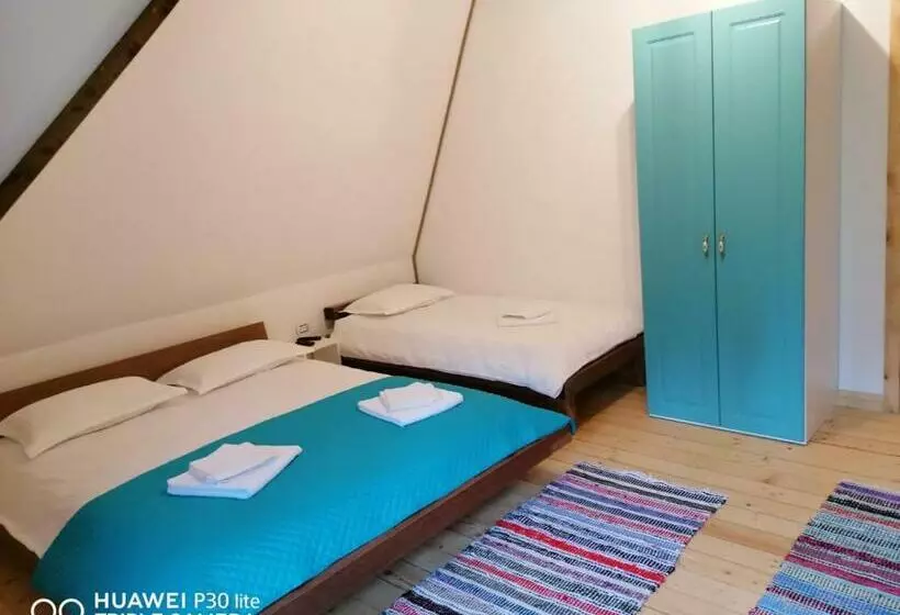 ペンション Cabana Agroturistica Runc