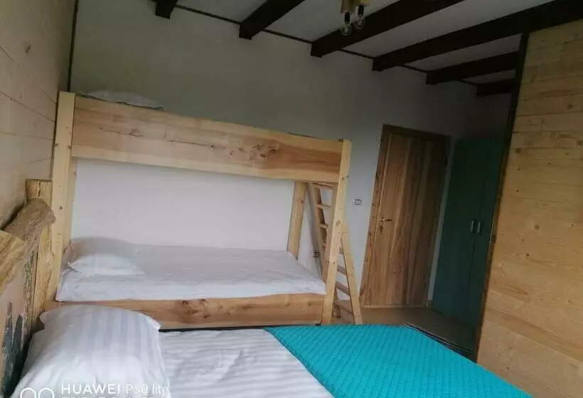 ペンション Cabana Agroturistica Runc