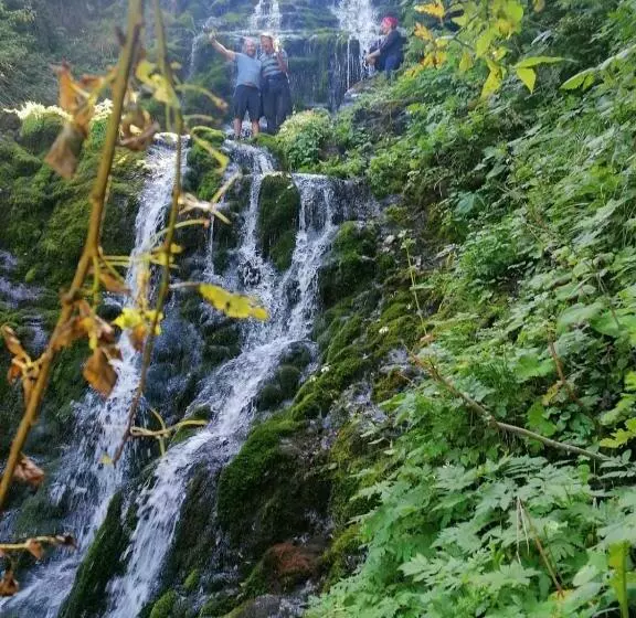 ペンション Cabana Agroturistica Runc