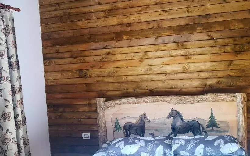 ペンション Cabana Agroturistica Runc