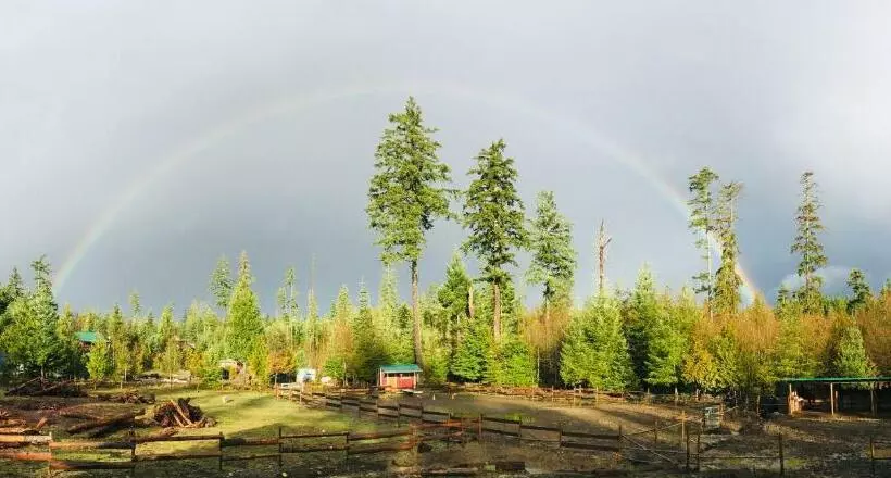 پانسیون Maple Heart Ranch