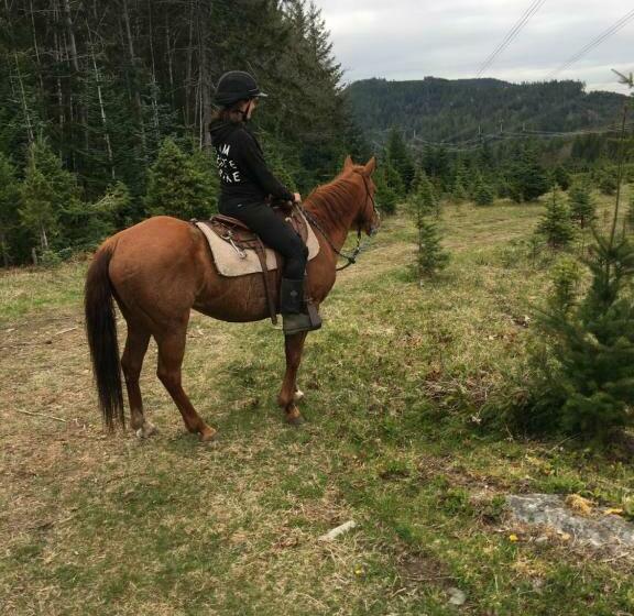 بنسيون Maple Heart Ranch