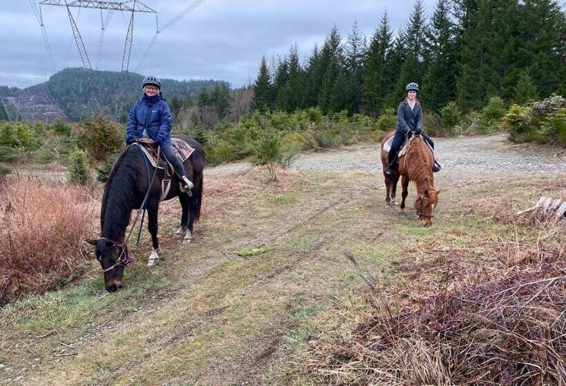 بنسيون Maple Heart Ranch