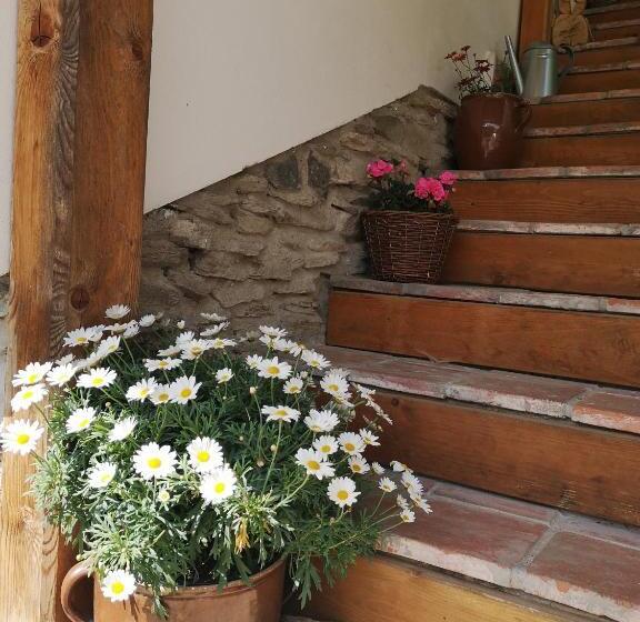 膳宿费 Penzion 166   Herlíkovice