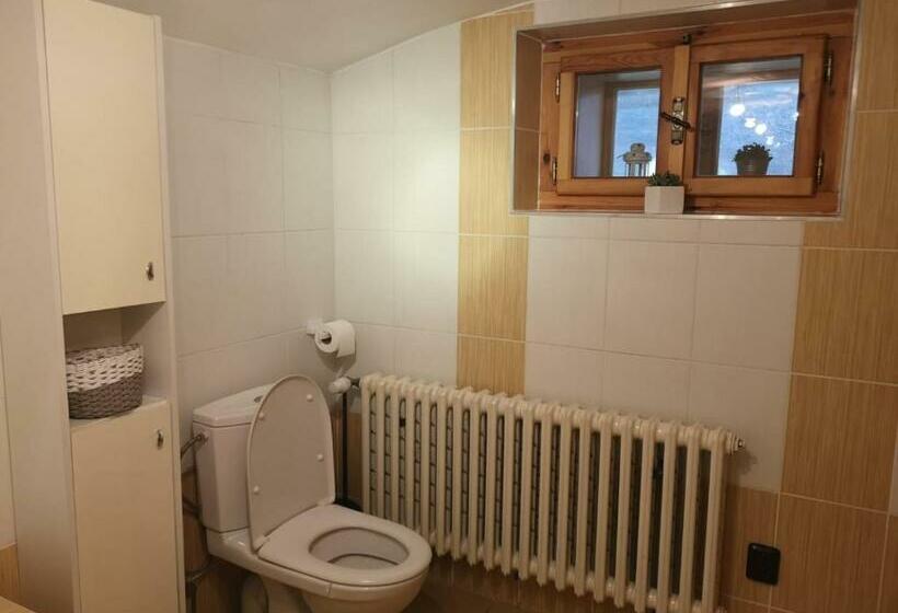 膳宿费 Penzion 166   Herlíkovice