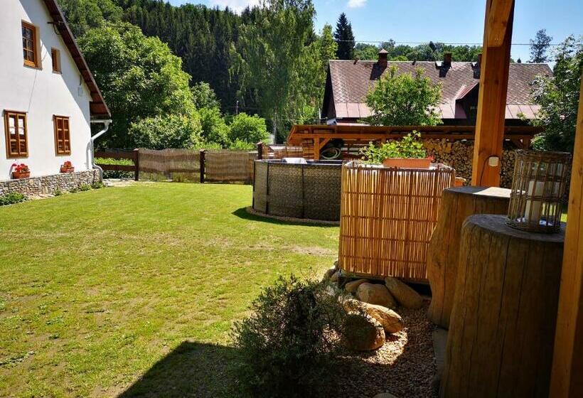 膳宿费 Penzion 166   Herlíkovice