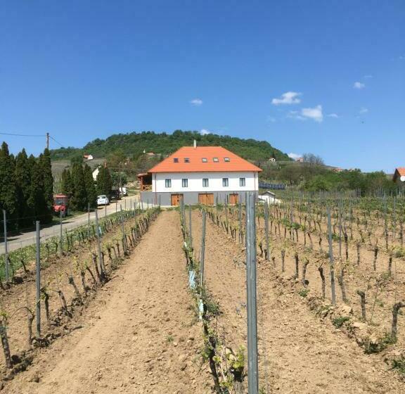 بنسيون Somló Kolonics Kúria