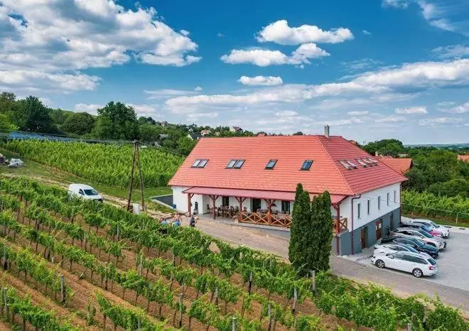 ペンション Somló Kolonics Kúria