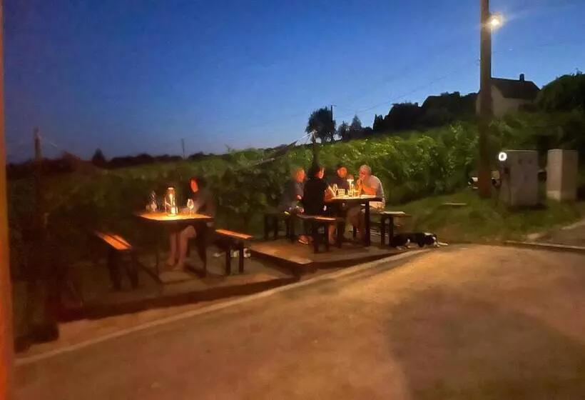 ペンション Somló Kolonics Kúria