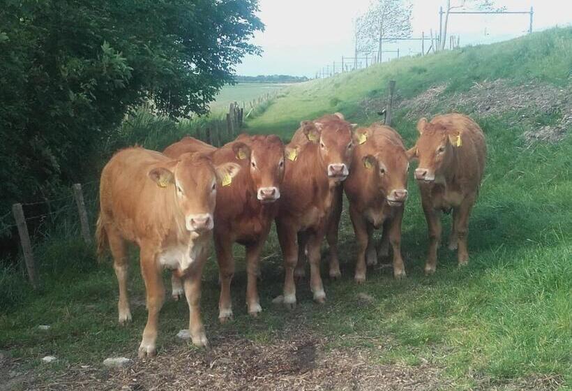 B & B  Droom In De Polder De Suite Met Prive Sauna