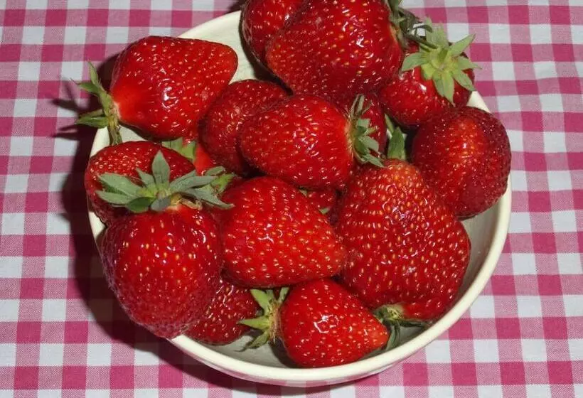 B & B  Droom In De Polder De Suite Met Prive Sauna