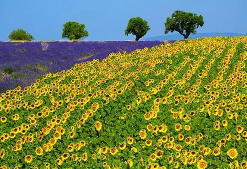 ベッドアンドブレックファースト Six Chandelles M étaient Comptées