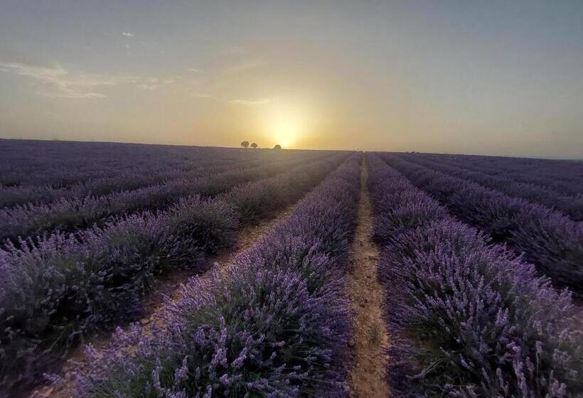 住宿加早餐 Six Chandelles M étaient Comptées