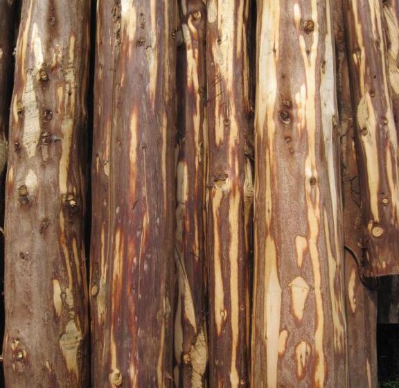 Landpension Zur Hainbuche