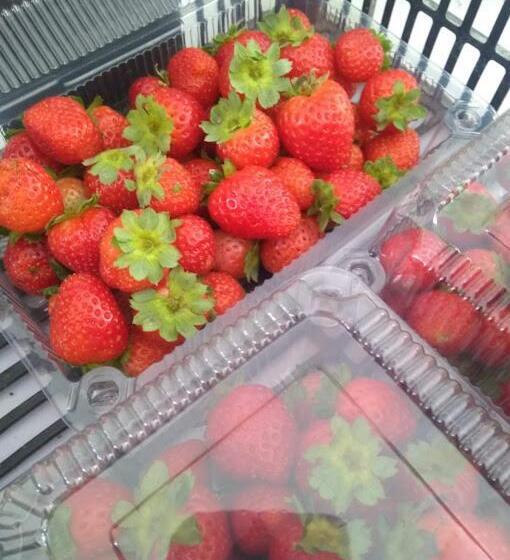 ペンション Recanto Cheio De Cheiro