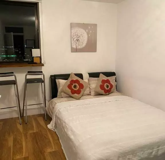 ペンション Room In Central London Overview Thames
