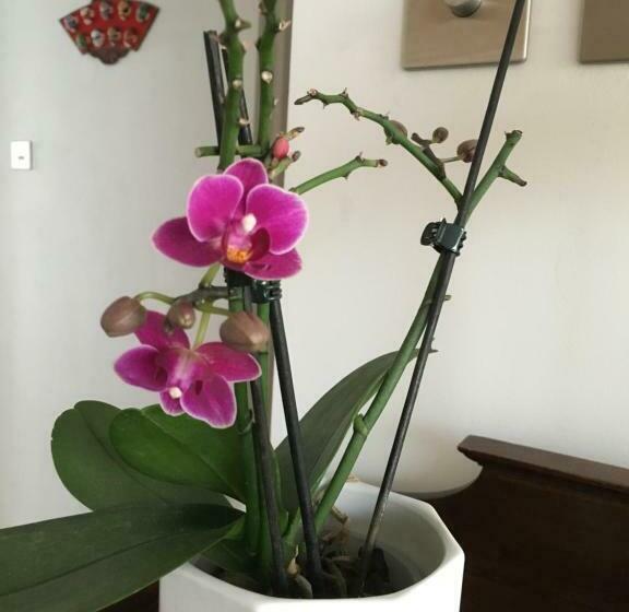 Pansiyon Room In Central London Overview Thames