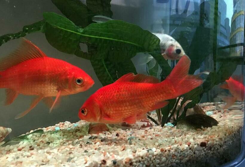 Pansiyon Room In Central London Overview Thames