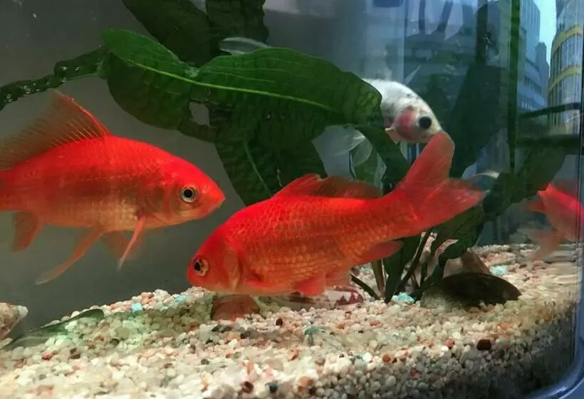 ペンション Room In Central London Overview Thames