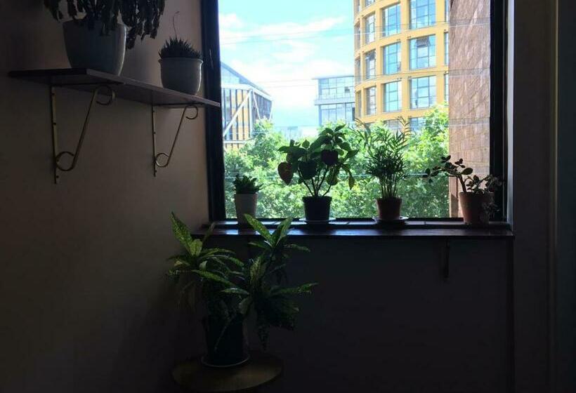 Pansiyon Room In Central London Overview Thames