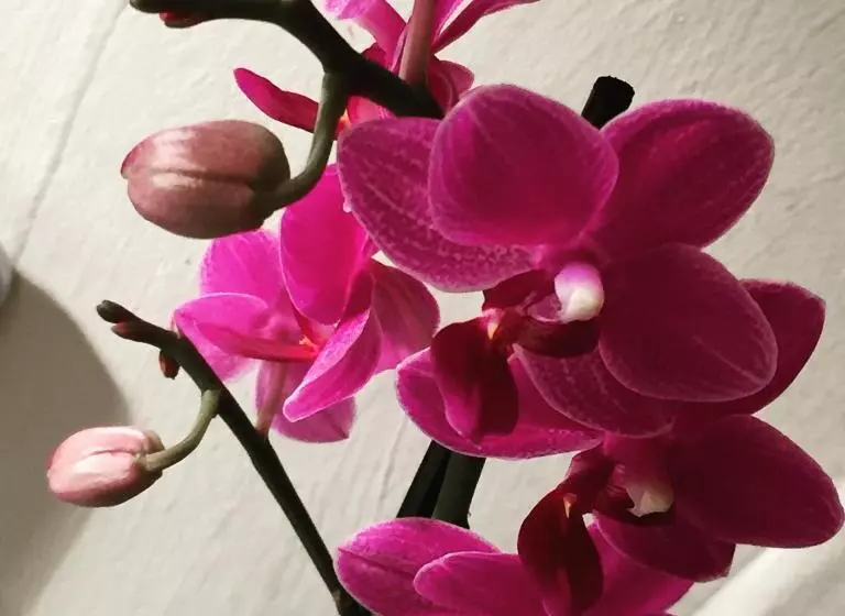 ペンション Room In Central London Overview Thames