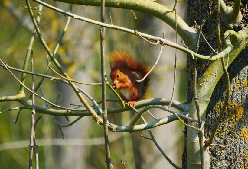 민박 Le Manoir De Louviers
