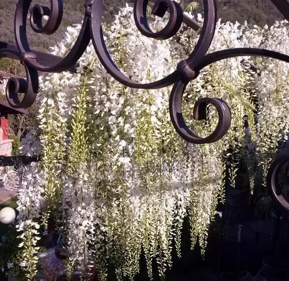 Aamiaismajoitus (B&B) Jasmine Cottage