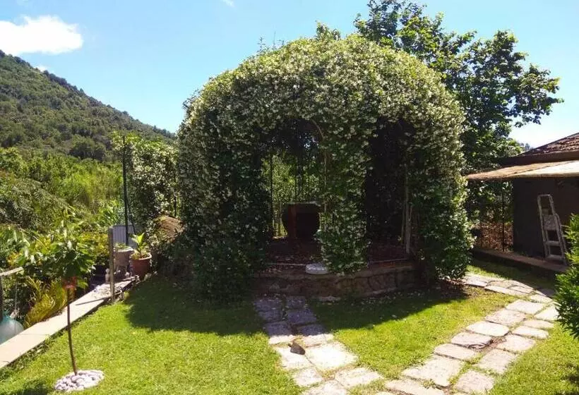 Aamiaismajoitus (B&B) Jasmine Cottage