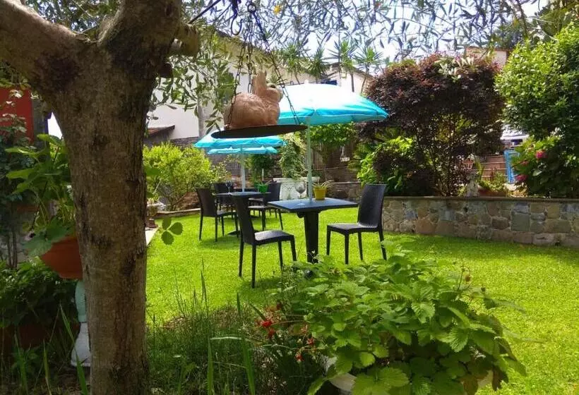 Aamiaismajoitus (B&B) Jasmine Cottage