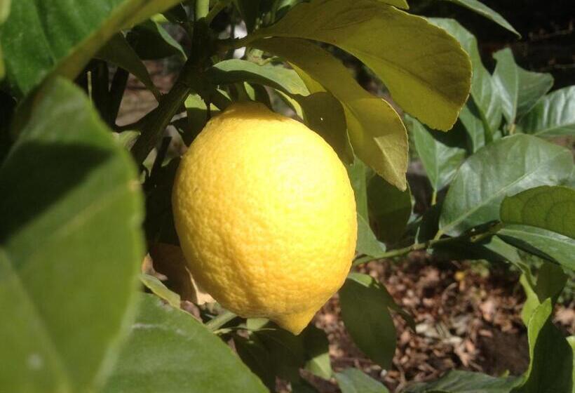 ベッドアンドブレックファースト L Abri La Vall