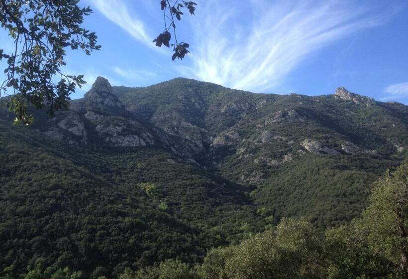 ベッドアンドブレックファースト L Abri La Vall