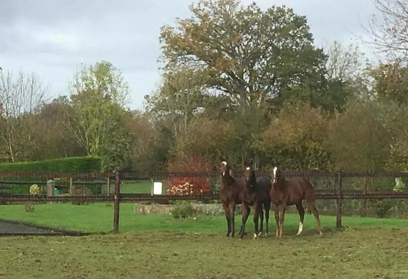 Aamiaismajoitus (B&B) La Bretonniere