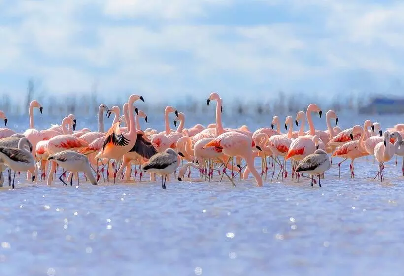 Aamiaismajoitus (B&B) Lalagunebages Panoramic View