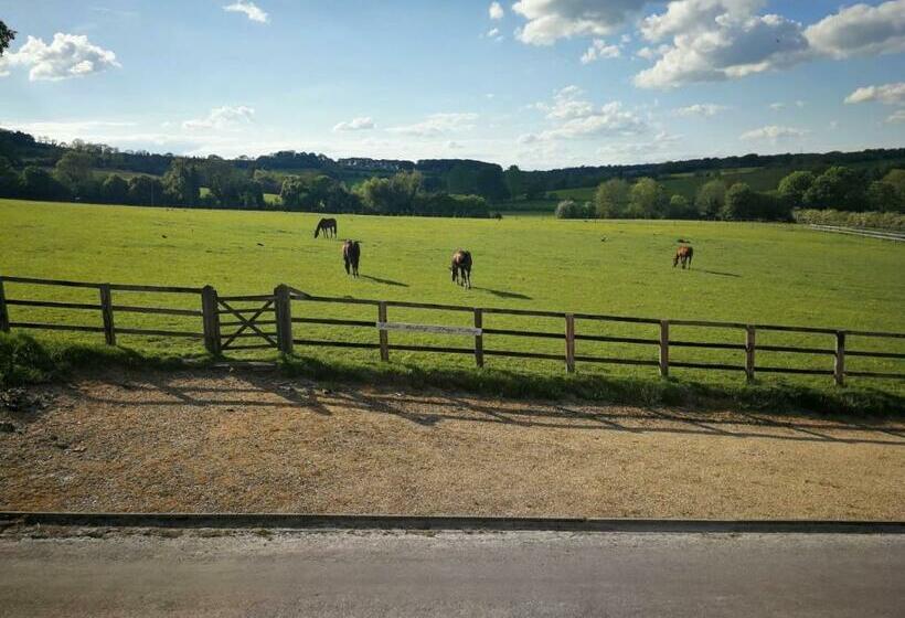 住宿加早餐  Staggs Cottage