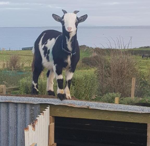 צימר Sunrise View